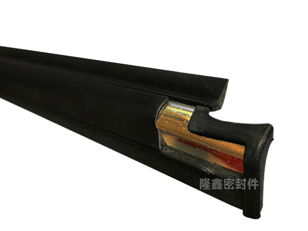 車(chē)門(mén)擋水條